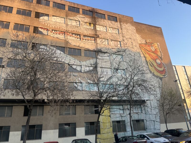 File:2026-02-26 18-07-08 cocollona-street-art.jpg