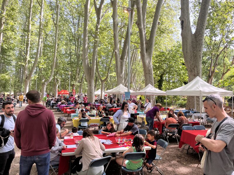 File:2025-05-03 11-44-28 ludivers.jpg